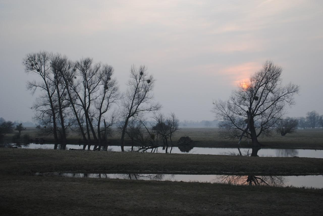 Отель Alter Hof Am Elbdeich Unbesandten Экстерьер фото